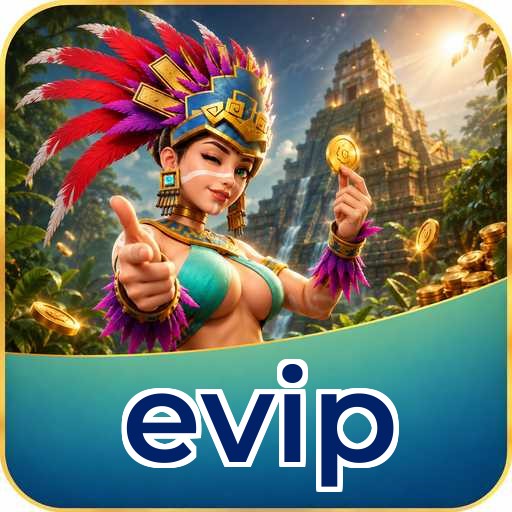 evip Technical Info