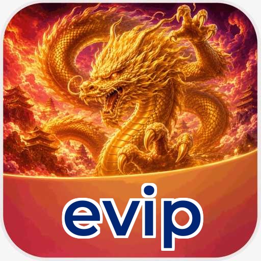 evip Technical Info