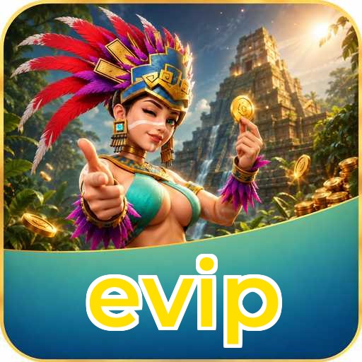 evip Technical Info